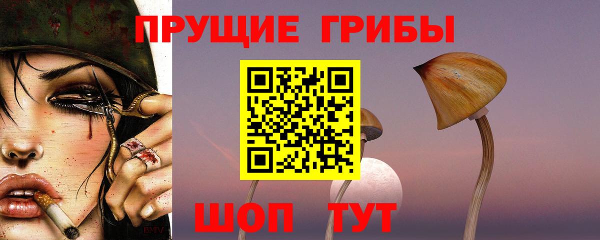 Псилоцибиновые грибы мухоморы  Псилоцибиновые грибы Psilocybe  Вход с VPN  Гурьевск 