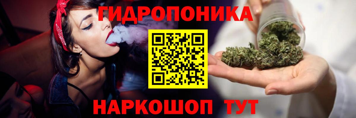 Гурьевск  Бошки марихуана White Widow  Вход с VPN  Шишки марихуана индика 
